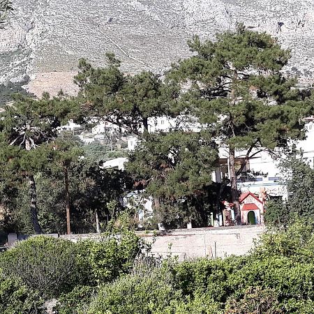 Mela Studios Panormos  Exteriér fotografie