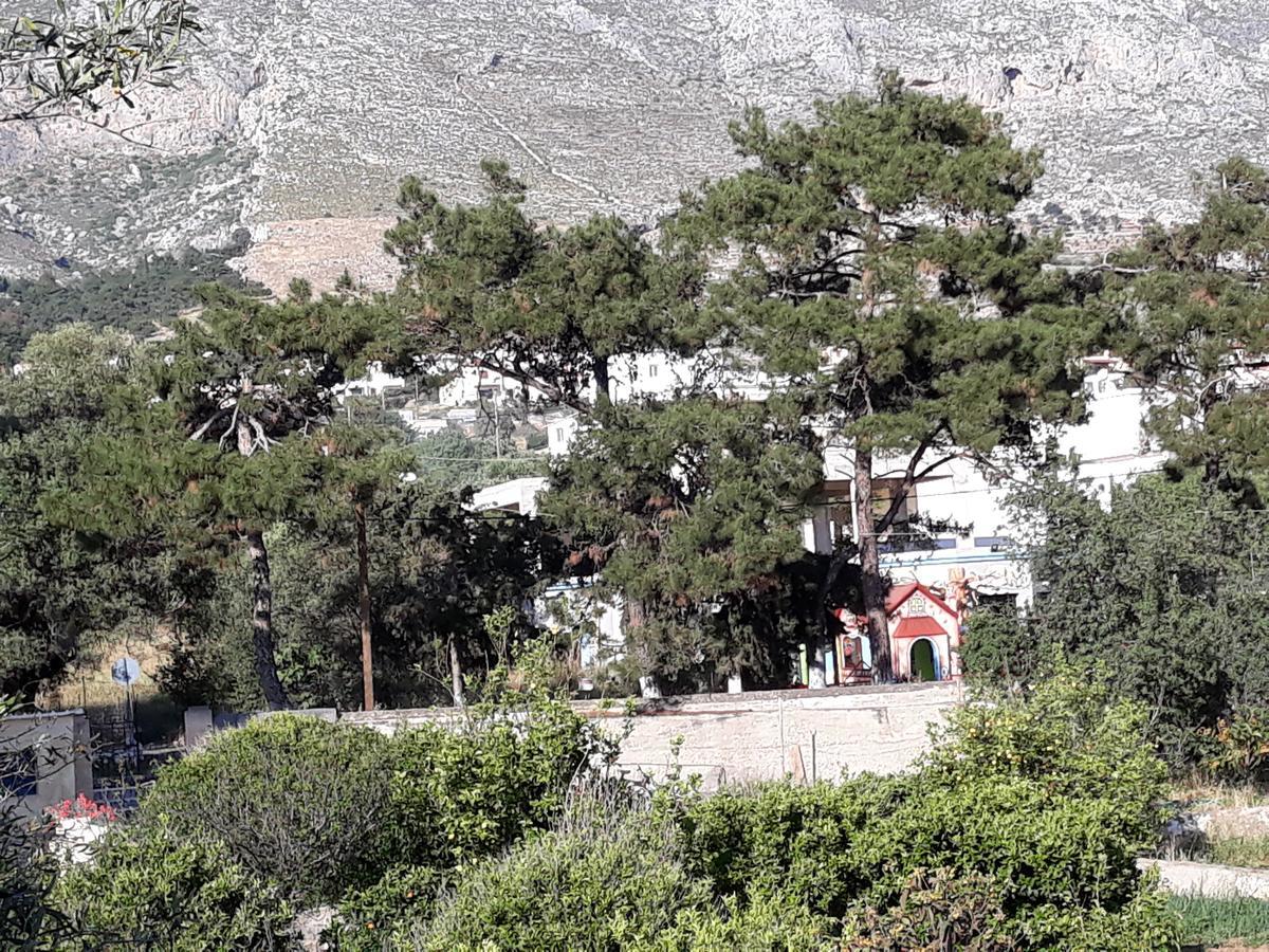 Mela Studios Panormos  Exteriér fotografie