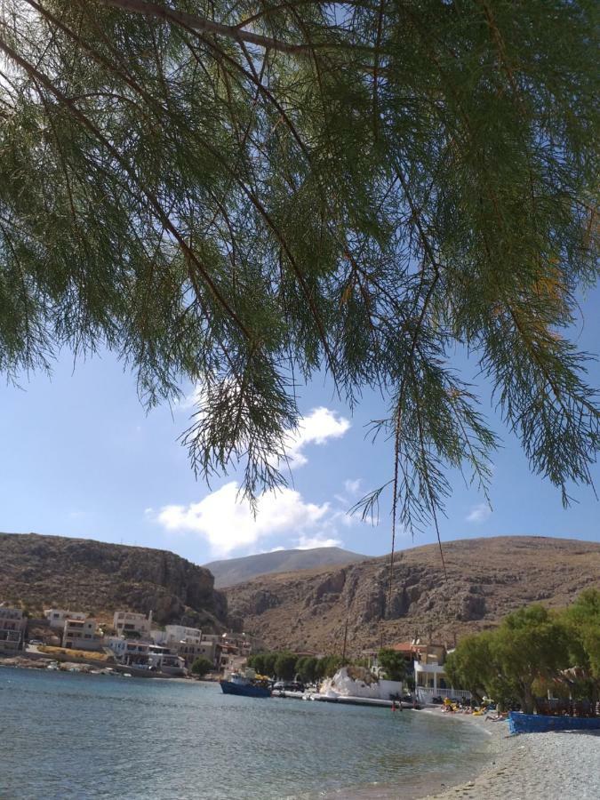 Mela Studios Panormos  Exteriér fotografie